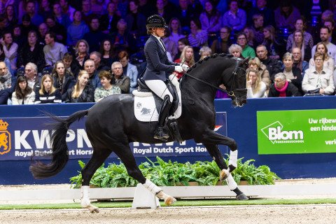 Galop HK 2025 Radetsky H