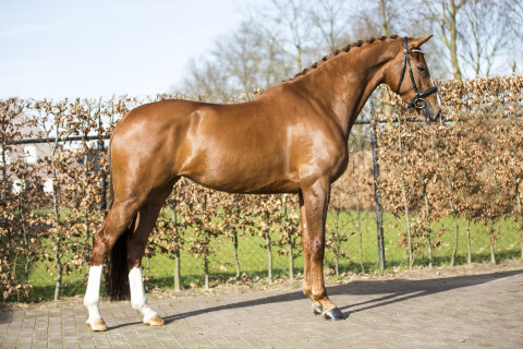 Contango x Johnson