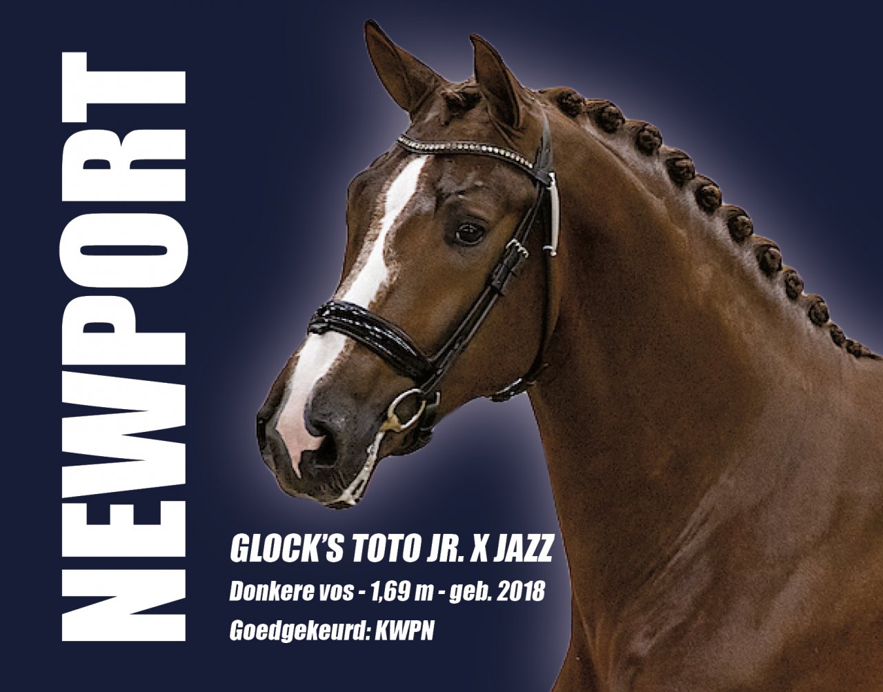 Website topbeeld Newport