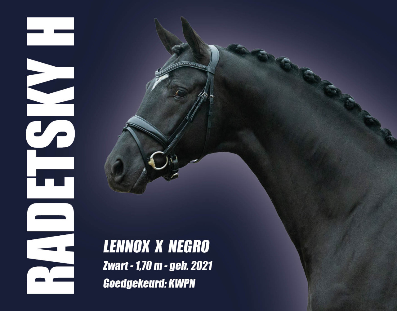 Website - topbeeld Radetsky
